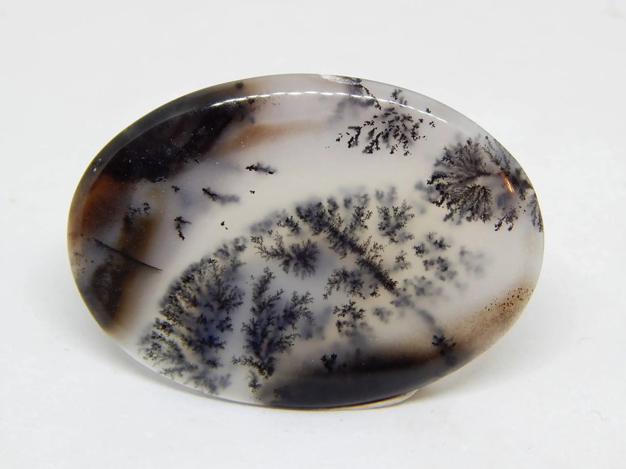 Dendritic agate cabochon — milky white with black fern-like dendrites